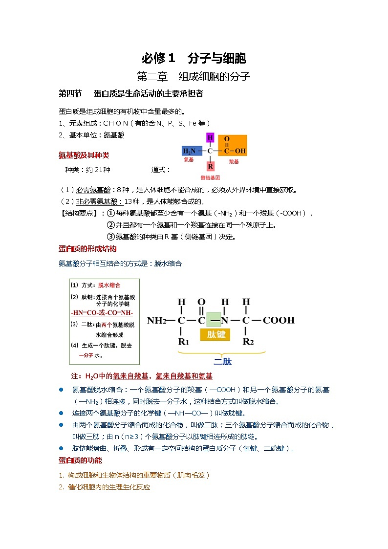 新人教版  高一 生物必修一  第二章 第四节  蛋白质是生命活动的主要承担者  知识清单01