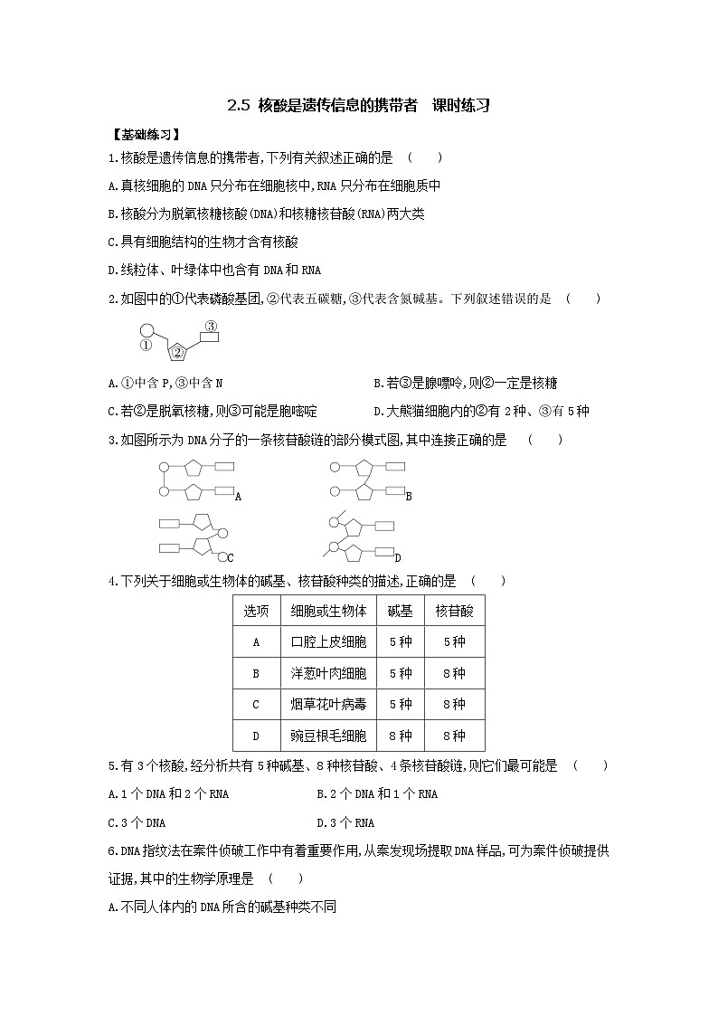 新人教版  高一 生物必修一  第二章 第五节  核酸是遗传信息的携带者  课时练（含答案）01