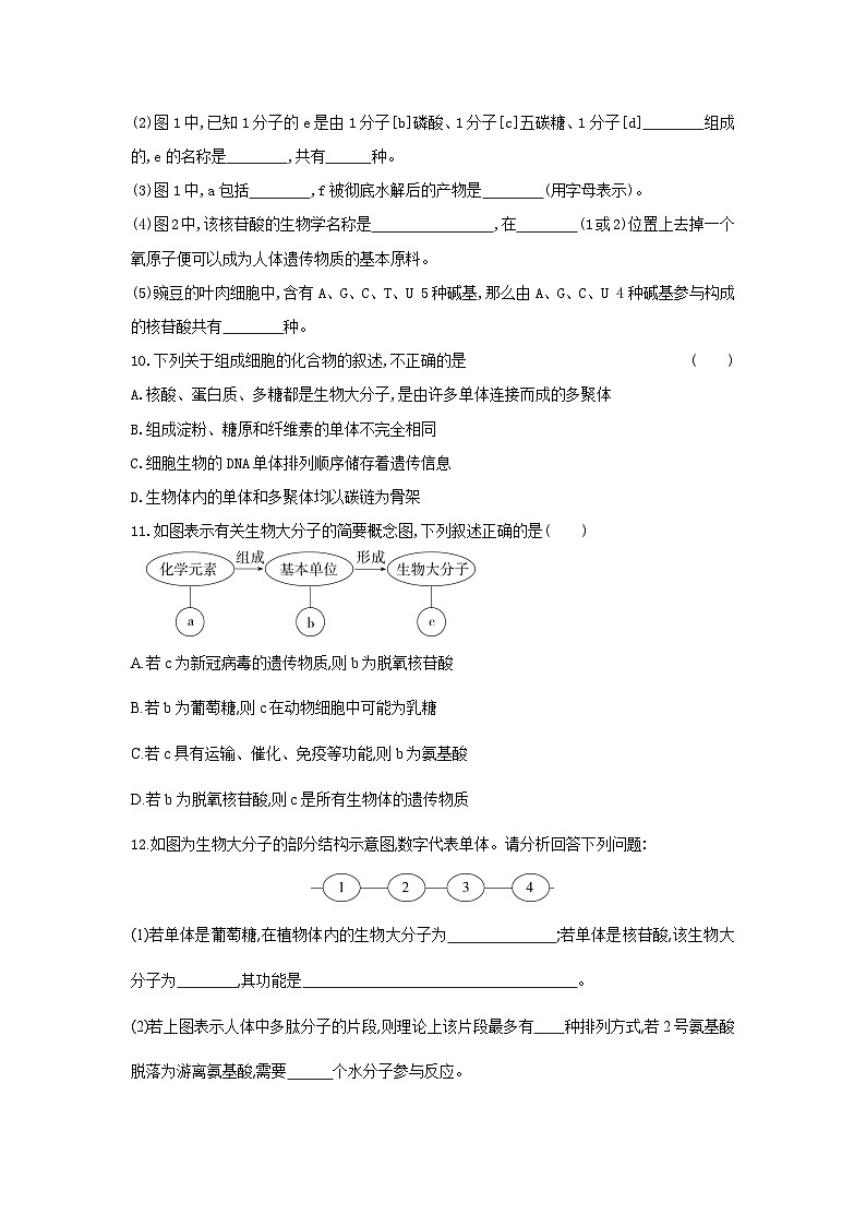 新人教版  高一 生物必修一  第二章 第五节  核酸是遗传信息的携带者  课时练（含答案）03