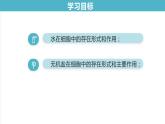 新人教版  高一 生物必修一  第二章 第二节 细胞中的无机物  课件ppt