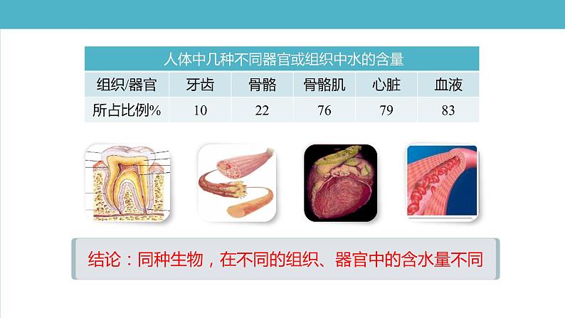 新人教版  高一 生物必修一  第二章 第二节 细胞中的无机物  课件ppt第8页