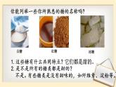 新人教版  高一 生物必修一  第二章 第三节 细胞中的糖类和脂质  课件ppt