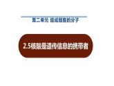 新人教版  高一 生物必修一  第二章 第五节  核酸是遗传信息的携带者  课件ppt