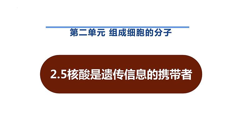 新人教版  高一 生物必修一  第二章 第五节  核酸是遗传信息的携带者  课件ppt01