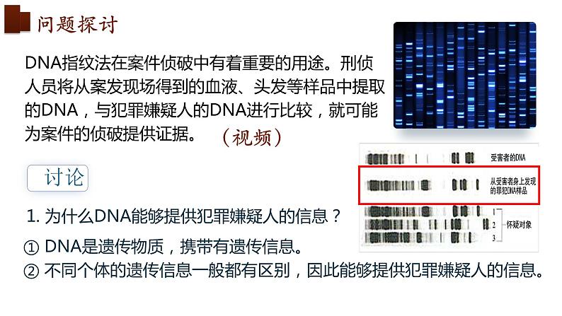 新人教版  高一 生物必修一  第二章 第五节  核酸是遗传信息的携带者  课件ppt04