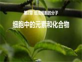 新人教版  高一 生物必修一  第二章 第一节  细胞中的元素和化合物  课件ppt
