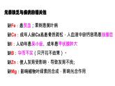 新人教版  高一 生物必修一  第二章 第一节  细胞中的元素和化合物  课件ppt