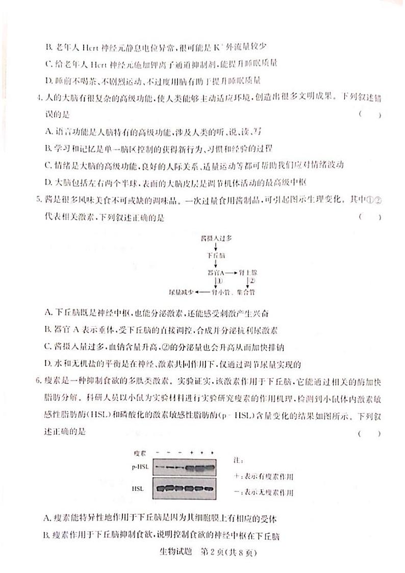 山西省晋城市部分高中学校2023-2024学年高二下学期7月期末考试 生物 PDF版含解析02