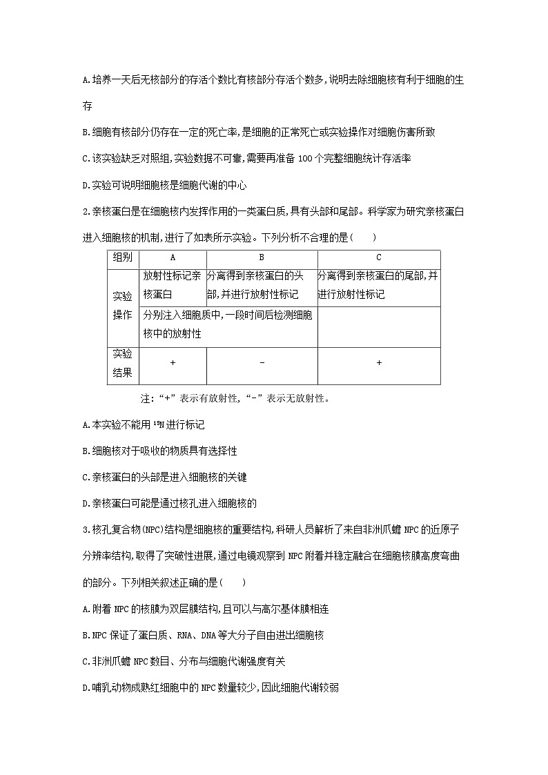 新人教版  高一 生物必修一  第三章 第三节  细胞核的结构和功能  课时练（含答案）第3页