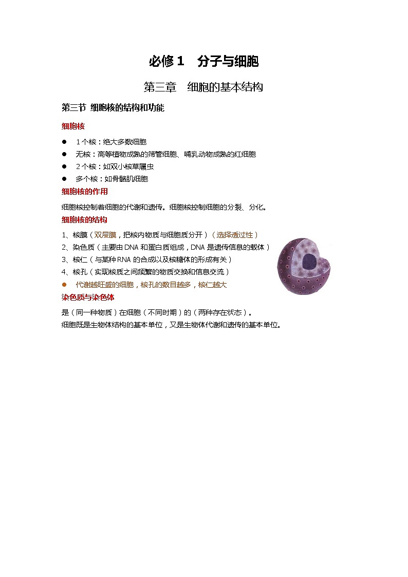 新人教版  高一 生物必修一  第三章 第三节  细胞核的结构和功能  知识清单第1页