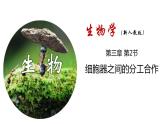 新人教版  高一 生物必修一  第三章 第二节  细胞器之间的分工合作  课件ppt