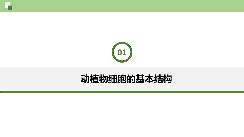 新人教版  高一 生物必修一  第三章 第二节  细胞器之间的分工合作  课件ppt第3页