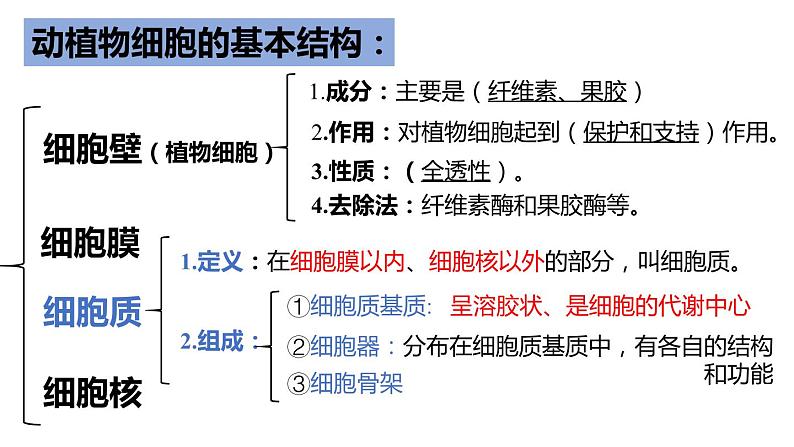 新人教版  高一 生物必修一  第三章 第二节  细胞器之间的分工合作  课件ppt第4页