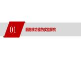 新人教版  高一 生物必修一  第三章 第三节  细胞核的结构和功能  课件ppt