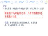 新人教版  高一 生物必修一  第三章 第一节  细胞膜的结构和功能  课件ppt