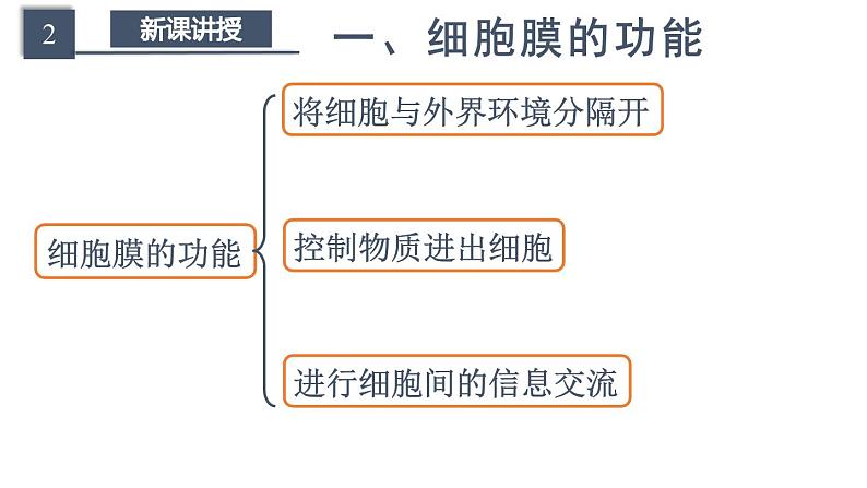 新人教版  高一 生物必修一  第三章 第一节  细胞膜的结构和功能  课件ppt第6页