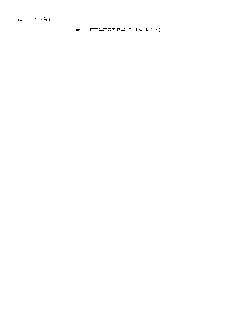 四川省九市2023-2024学年度高二第二学期期期末质量检测联考+生物试题及答案02