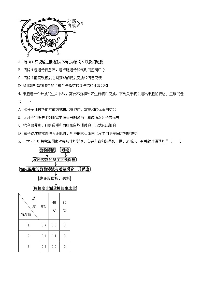 河北省沧州市2023-2024学年高二下学期7月期末考试生物试卷（Word版附解析）02