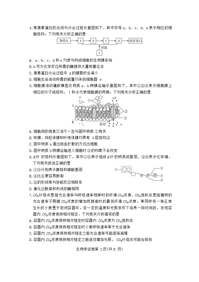湖北省五市州2023-2024学年高一下学期期末考试生物试题第2页
