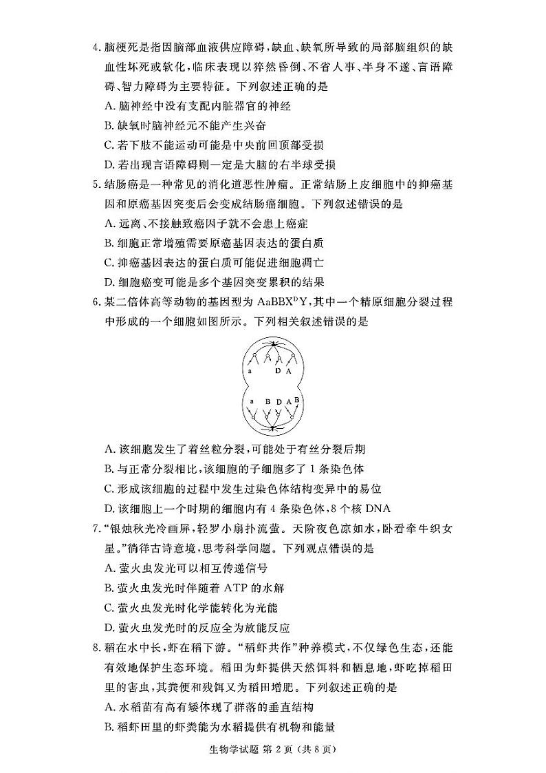 生物-河北省衡水金卷2024年高二年级下学期7月期末联考考试试题和答案02