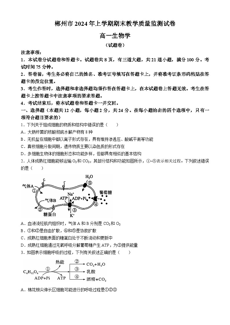 湖南省郴州市2023-2024学年高一下学期期末考试生物试卷（Word版附答案）01