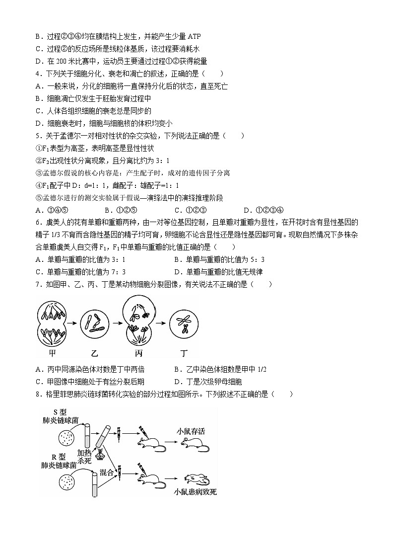 湖南省郴州市2023-2024学年高一下学期期末考试生物试卷（Word版附答案）02