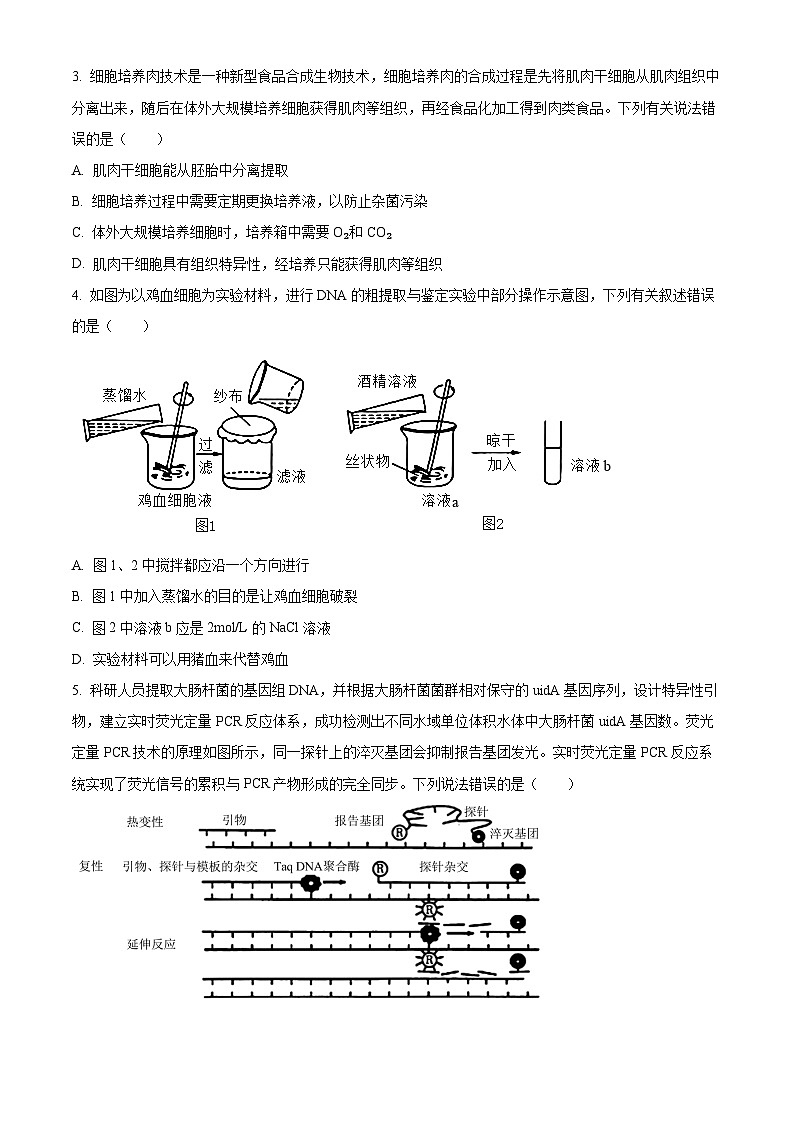 湖南省娄底市涟源市2023-2024学年高二下学期7月期末生物试题（原卷版）第2页