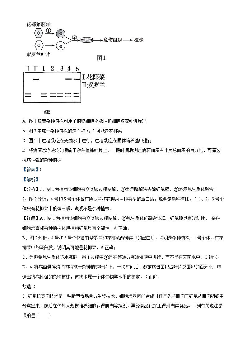 湖南省娄底市涟源市2023-2024学年高二下学期7月期末生物试题（解析版）第2页