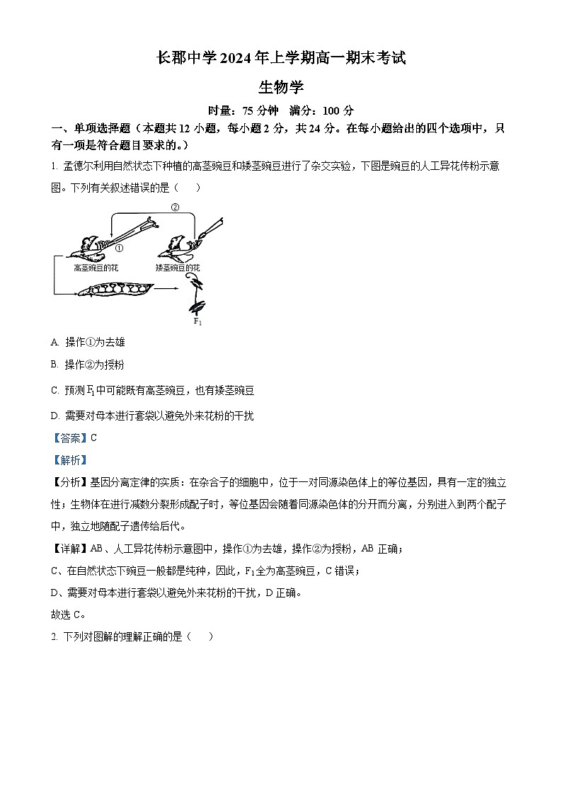 湖南省长沙市长郡中学2023-2024学年高一下学期期末考试生物试卷（Word版附解析）01