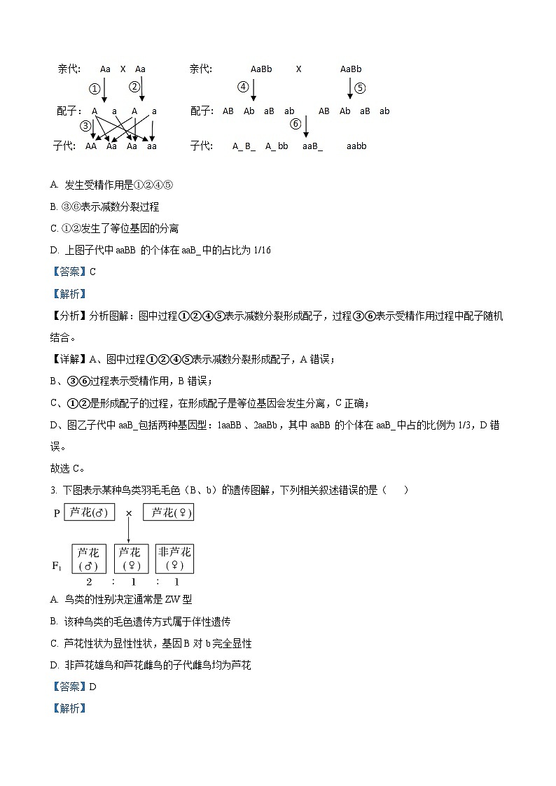 湖南省长沙市长郡中学2023-2024学年高一下学期期末考试生物试卷（Word版附解析）02
