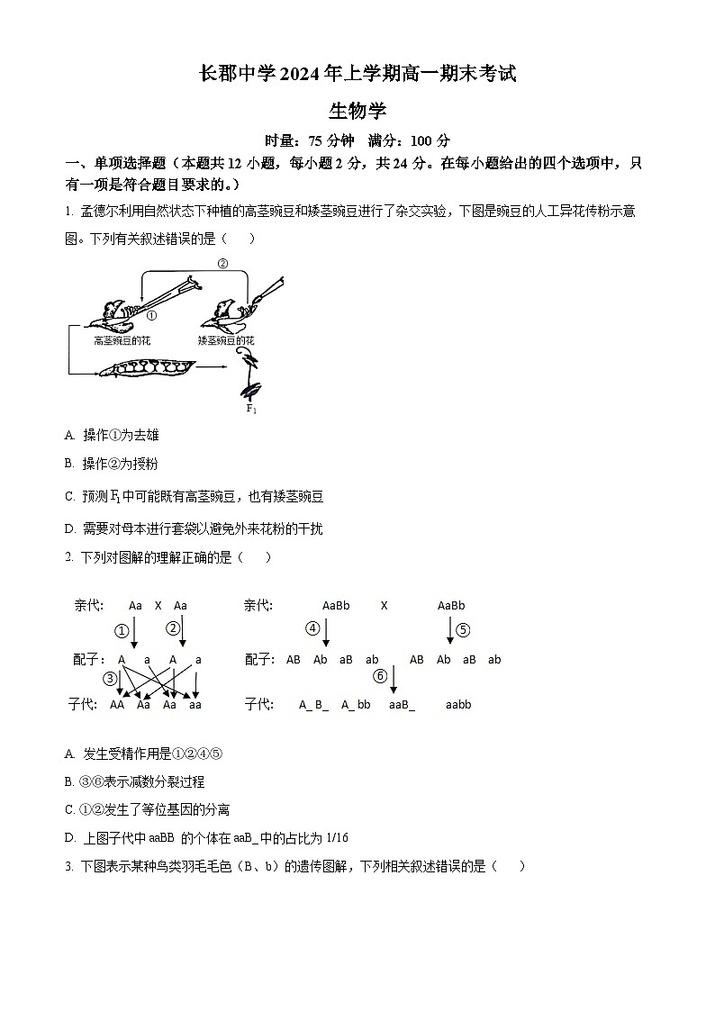 湖南省长沙市长郡中学2023-2024学年高一下学期期末考试生物试卷（Word版附解析）01