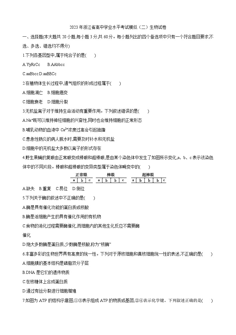 2023年浙江省高中学业水平考试模似（二）生物试卷01