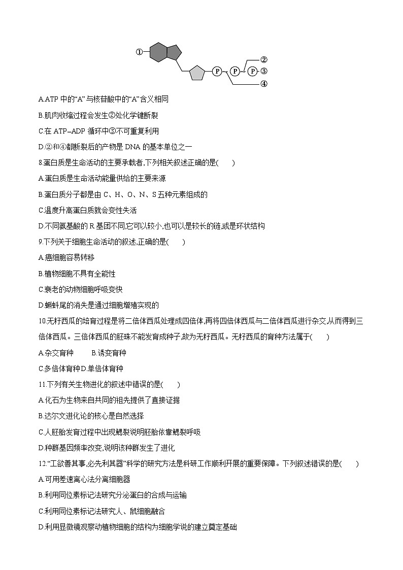 2023年浙江省高中学业水平考试模似（二）生物试卷02