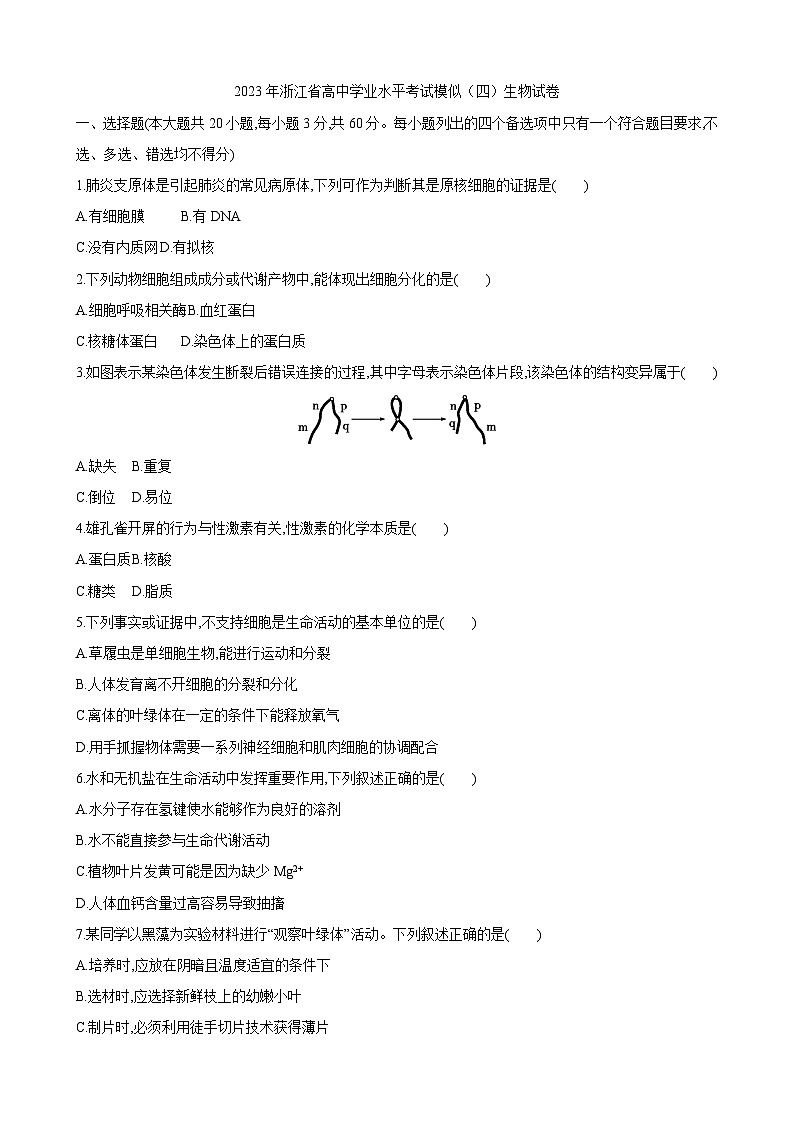 2023年浙江省高中学业水平考试模似（四）生物试卷01