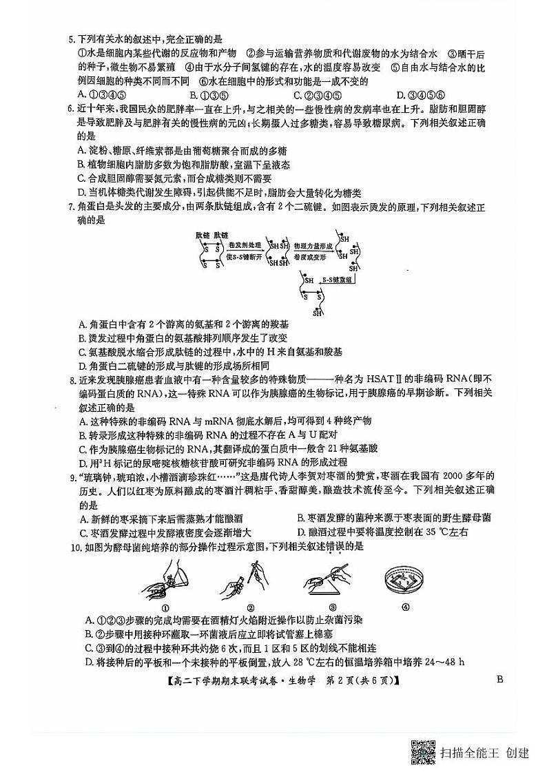 河南省商丘市商师联盟2023-2024学年高二下学期7月期末生物试题02