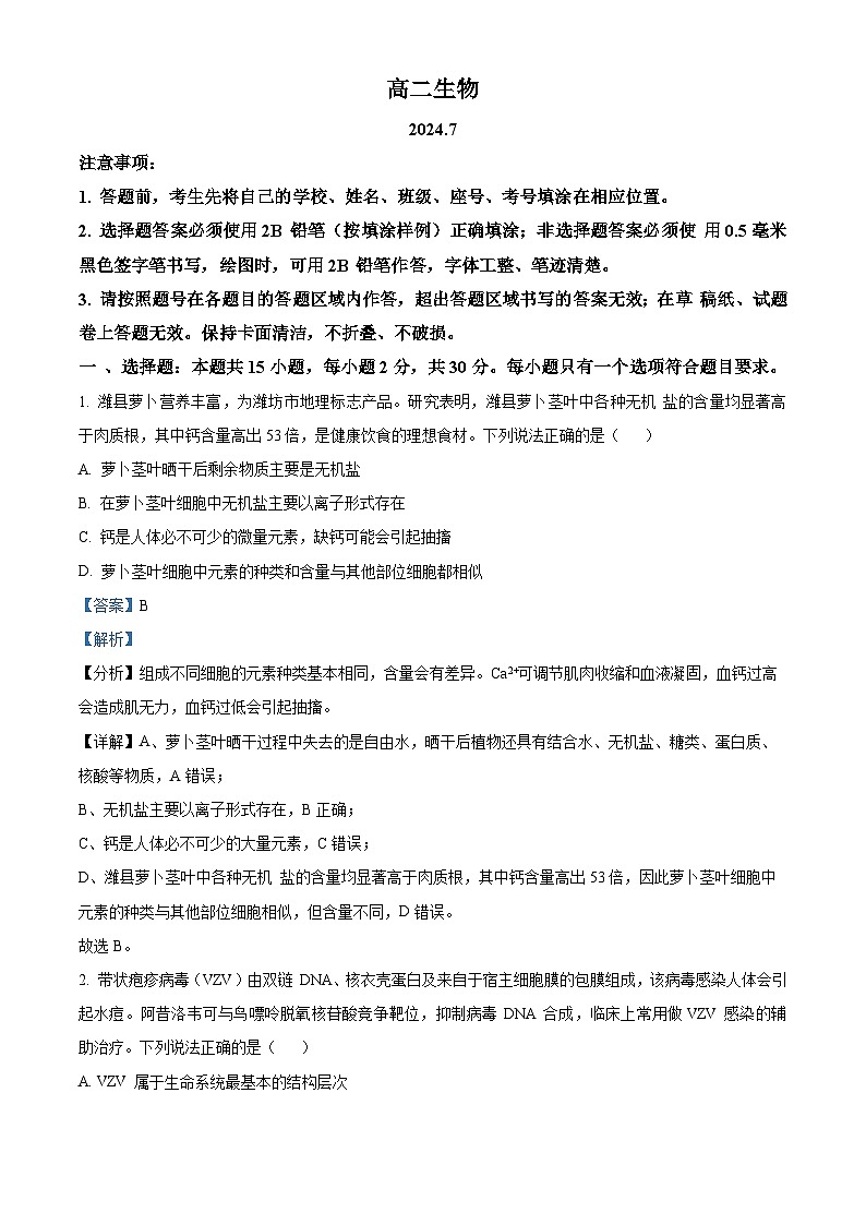 山东省潍坊市2024年7月高二年级下学期期末学习质量检测生物01