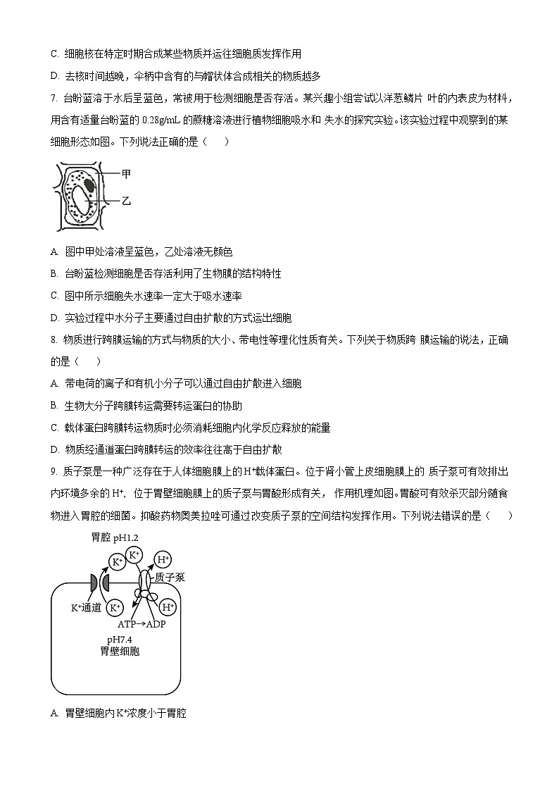 山东省潍坊市2024年7月高二年级下学期期末学习质量检测生物03