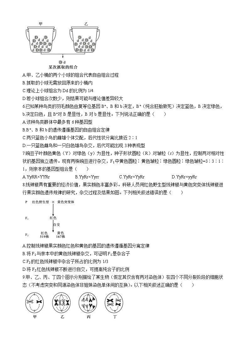 安徽省合肥市第八中学2023-2024学年高一下学期期末联考生物试题02