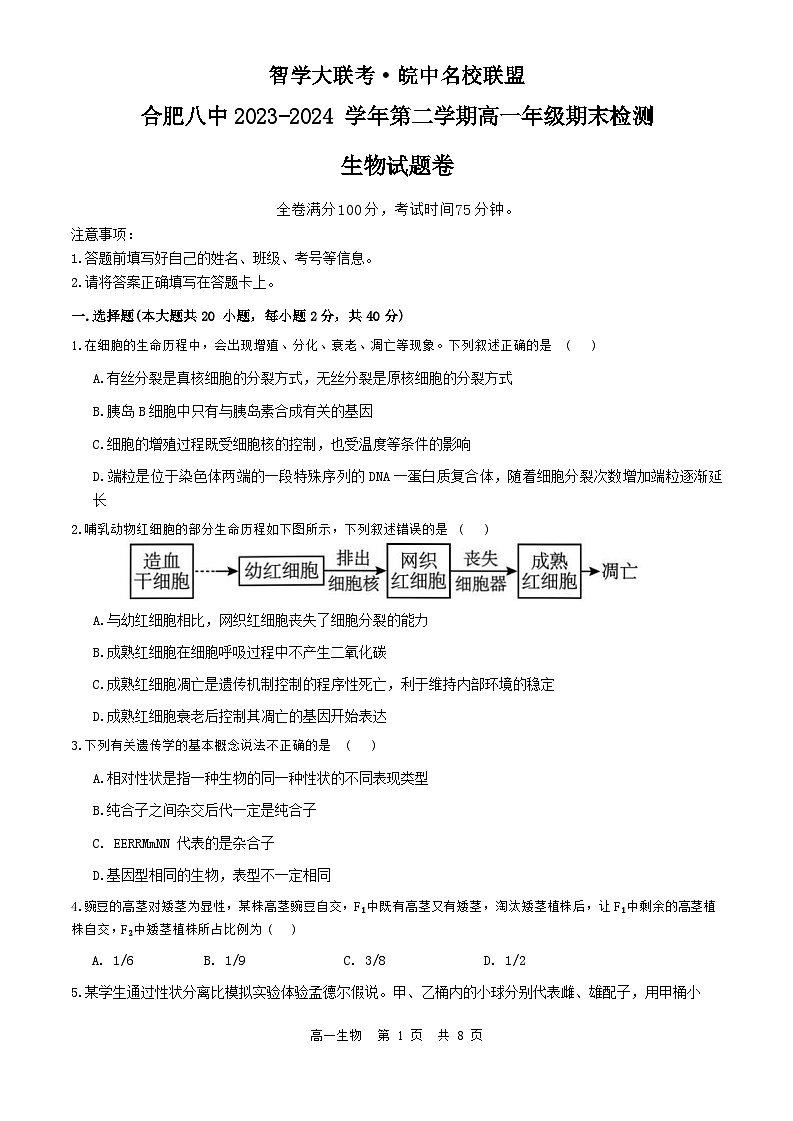 安徽省合肥市第八中学2023-2024学年高一下学期期末联考生物试题.101