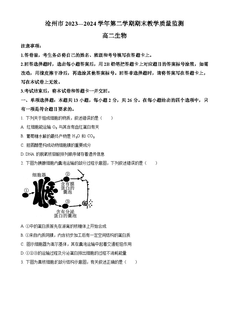 2024沧州高二下学期7月期末考试生物含解析01