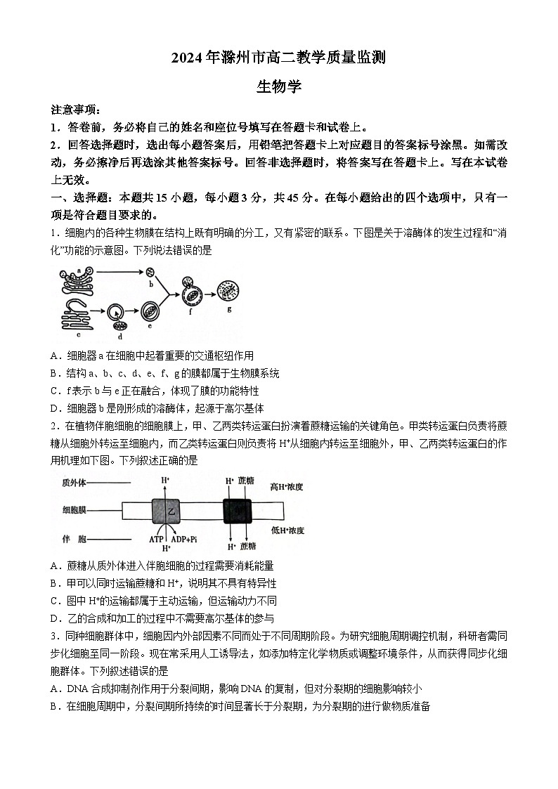 2024滁州高二下学期7月期末考试生物含答案01