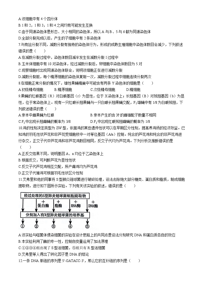2024郑州高一下学期6月期末考试生物含答案02