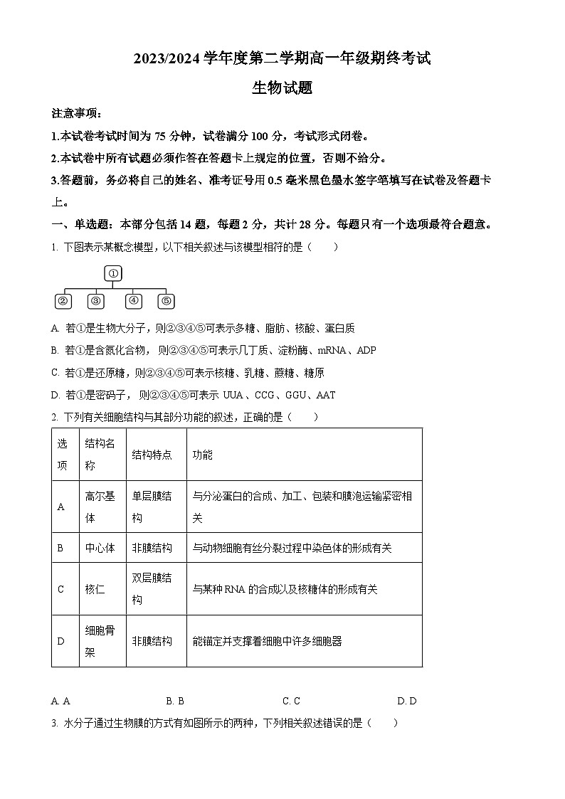 2024盐城高一下学期6月期末考试生物含解析01