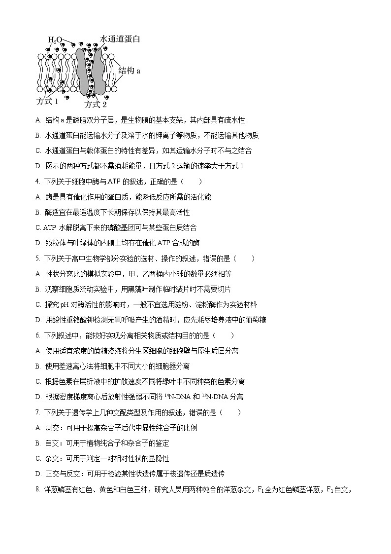 2024盐城高一下学期6月期末考试生物含解析02