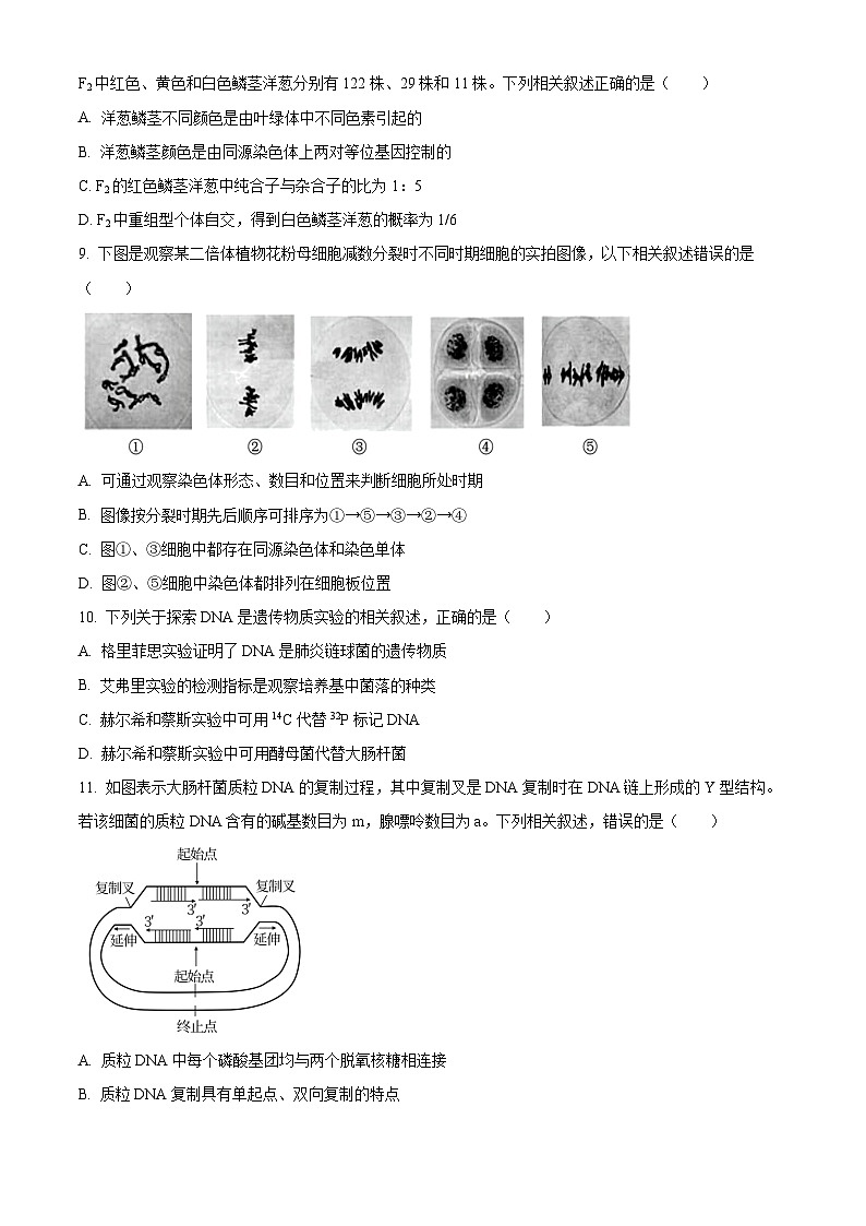2024盐城高一下学期6月期末考试生物含解析03
