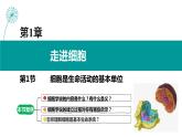 第1节 细胞是生命活动的基本单位课件2