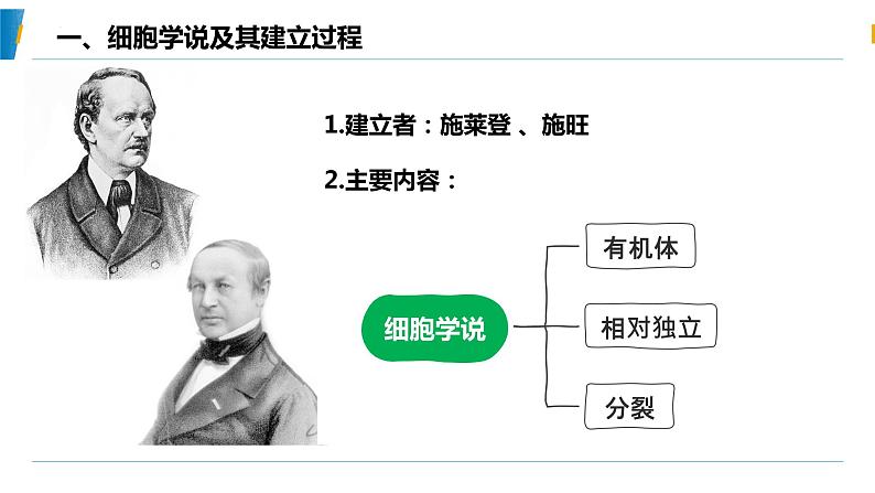 第1节 细胞是生命活动的基本单位课件2第5页
