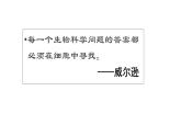 第1节 细胞是生命活动的基本单位课件1
