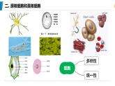 第2节 细胞的多样性和统一性第二课时课件