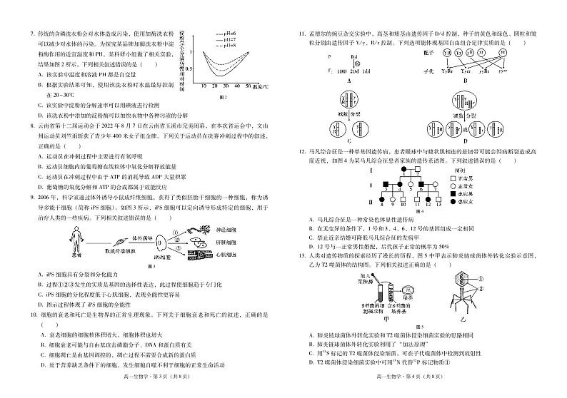 云南省文山州中小学2023-2024学年高一下学期期末学业质量监测生物试题第2页